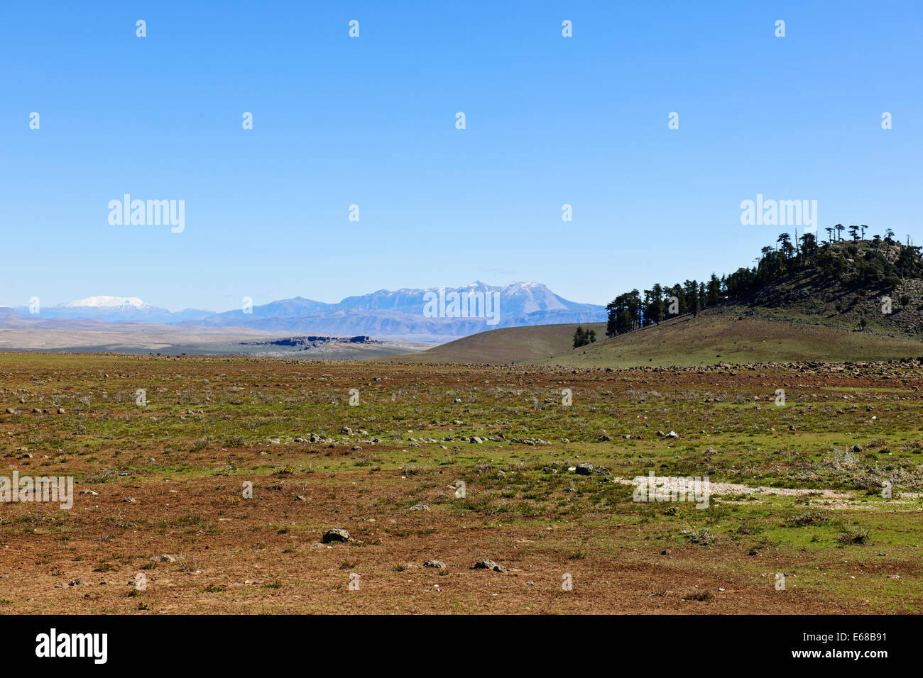 Faz er rachidia hi-res stock photography and images - Alamy