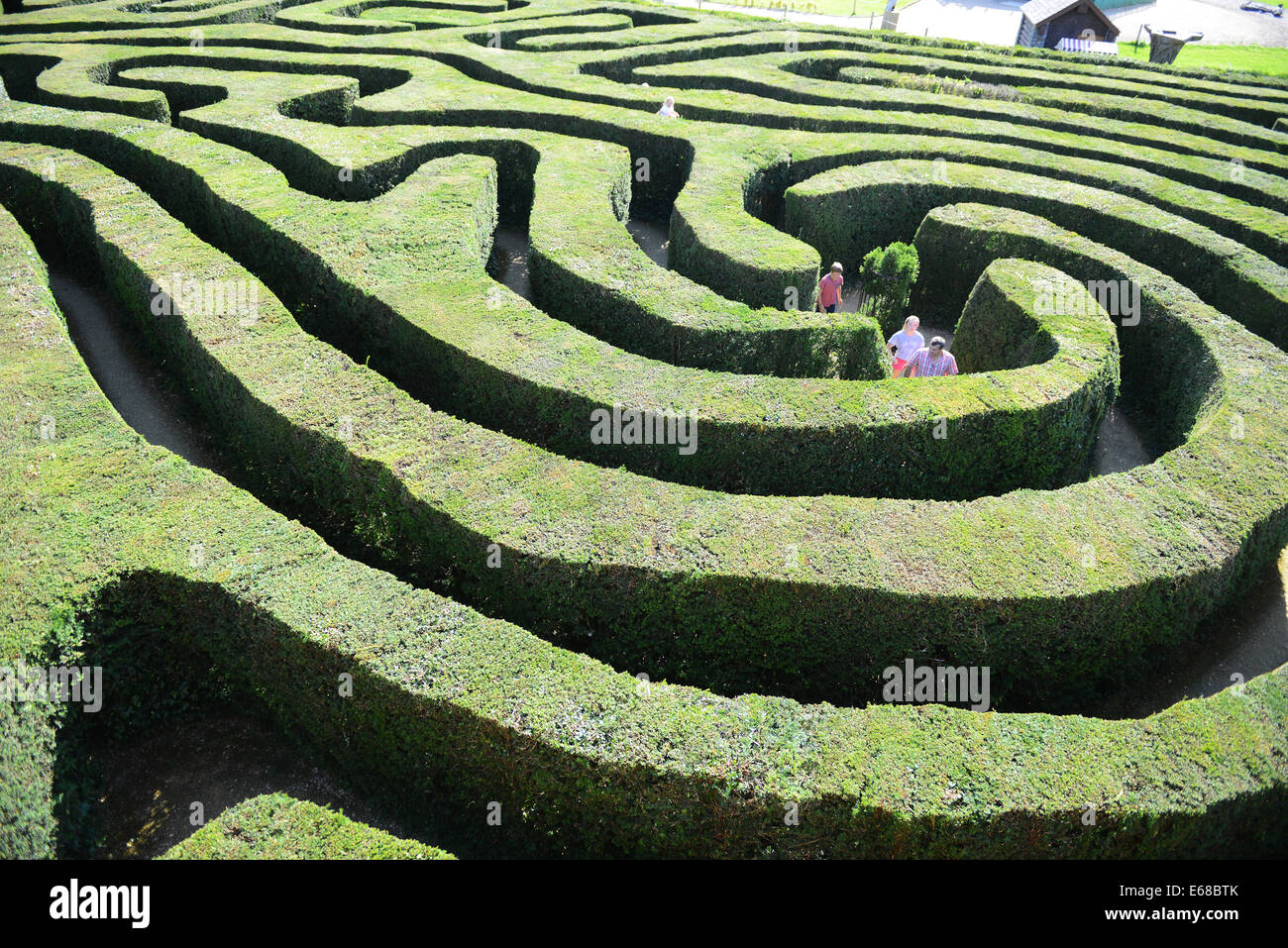 Longleat Safari Park hedge maze, Wiltshire, England Stock Photo