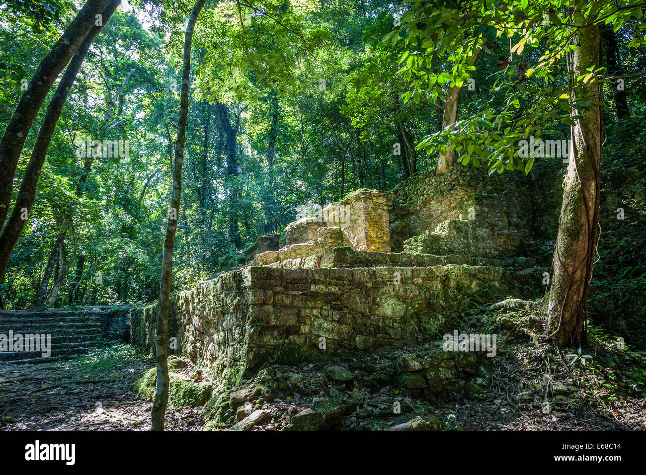 Partially uncovered ruins in the jungle at the Mayan ruins of Palenque, Chiapas,  Mexico. Stock Photo
