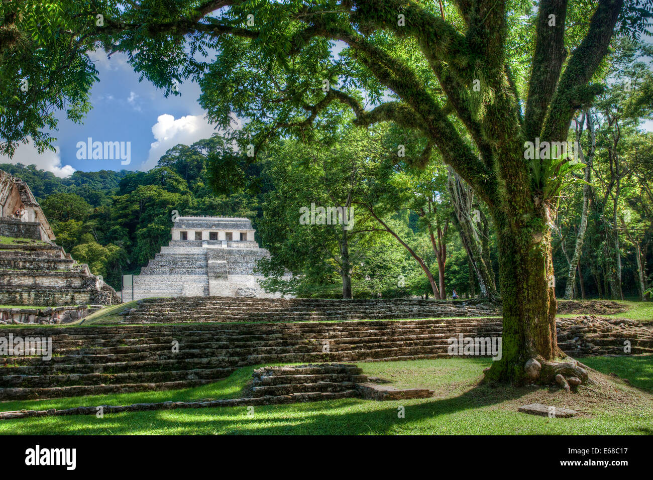 Temple of the Inscriptions shines like a white pearl in the jungle at the Mayan ruins of Palenque, Chiapas, Mexico. Stock Photo
