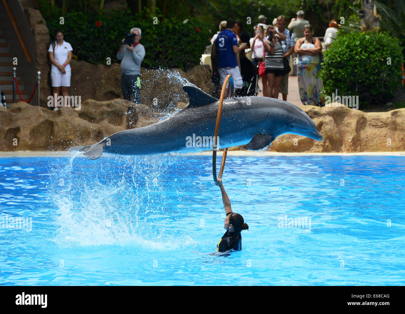 Loro Parque, Tenerife, Canary Islands, tourists watch Dolphin display performance, Loro wildlife park or zoo, Tenerife, Spain Stock Photo