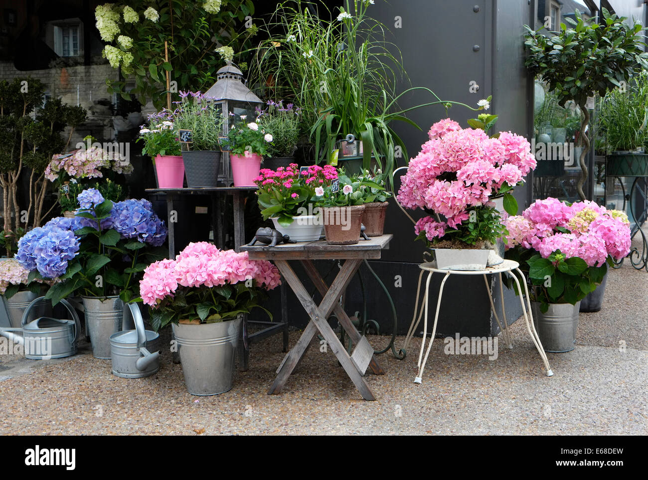 french florist shop, avranches, normandy, france Stock Photo
