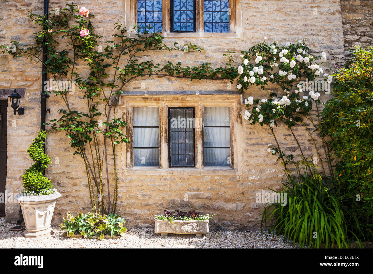 Cotswold stone house front with mullioned, leaded windows and rambling roses. Stock Photo
