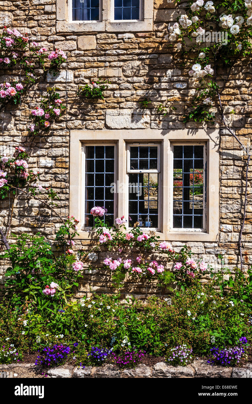 Cotswold stone cottage front with mullioned, leaded windows, rambling roses and a pretty front garden. Stock Photo