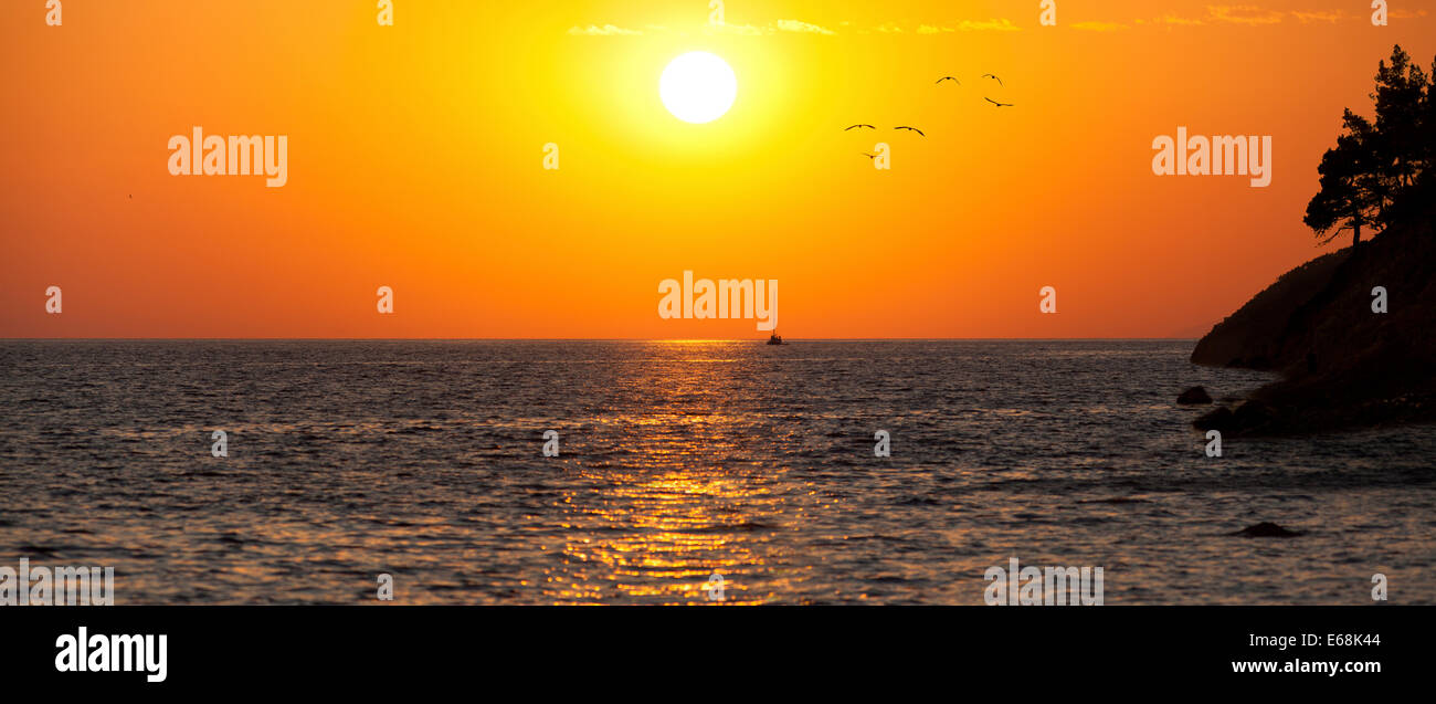 Sea sunset with silhouette of ship, seaguls and trees Stock Photo - Alamy