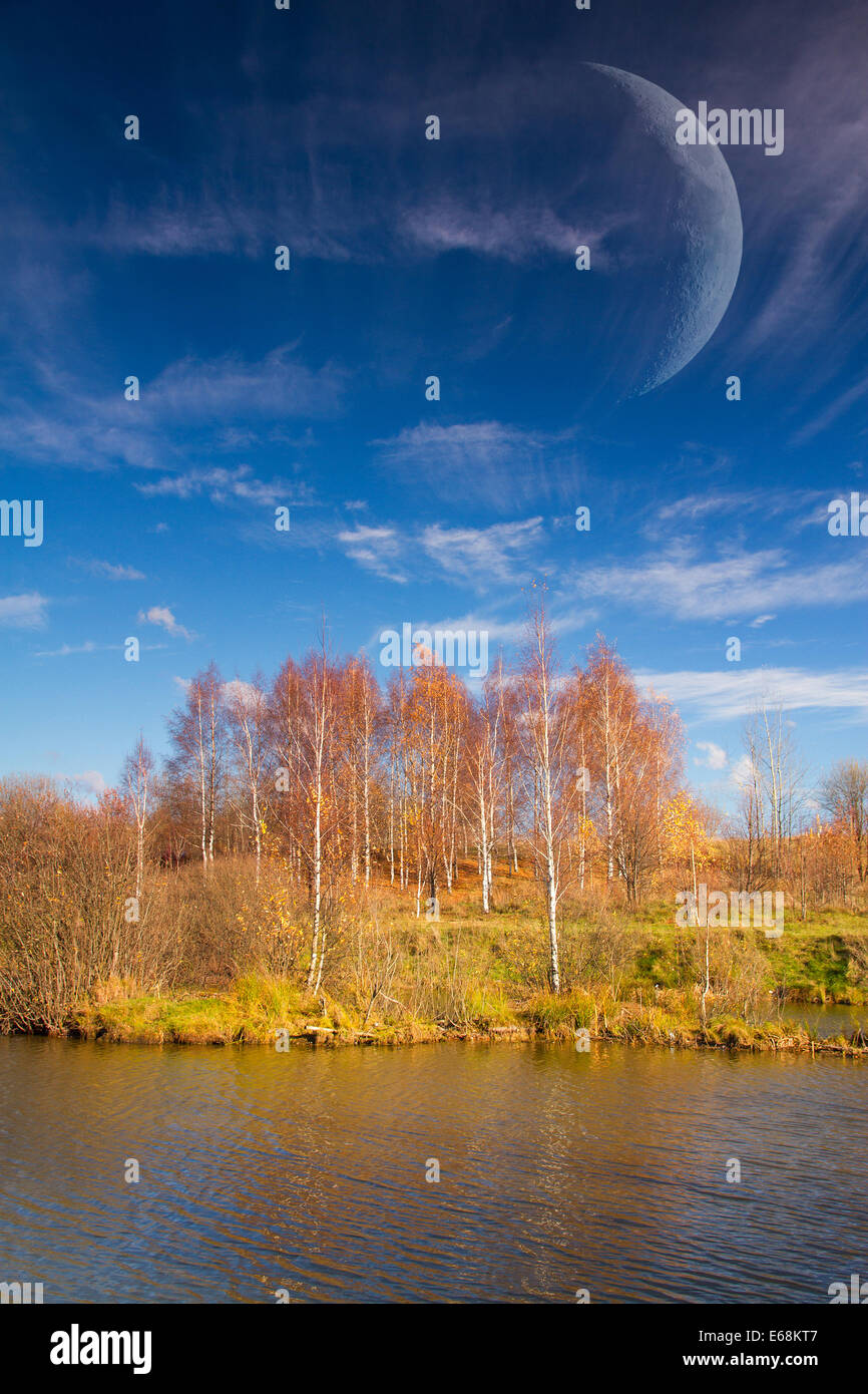 beautiful sunny day in autumn park Stock Photo - Alamy