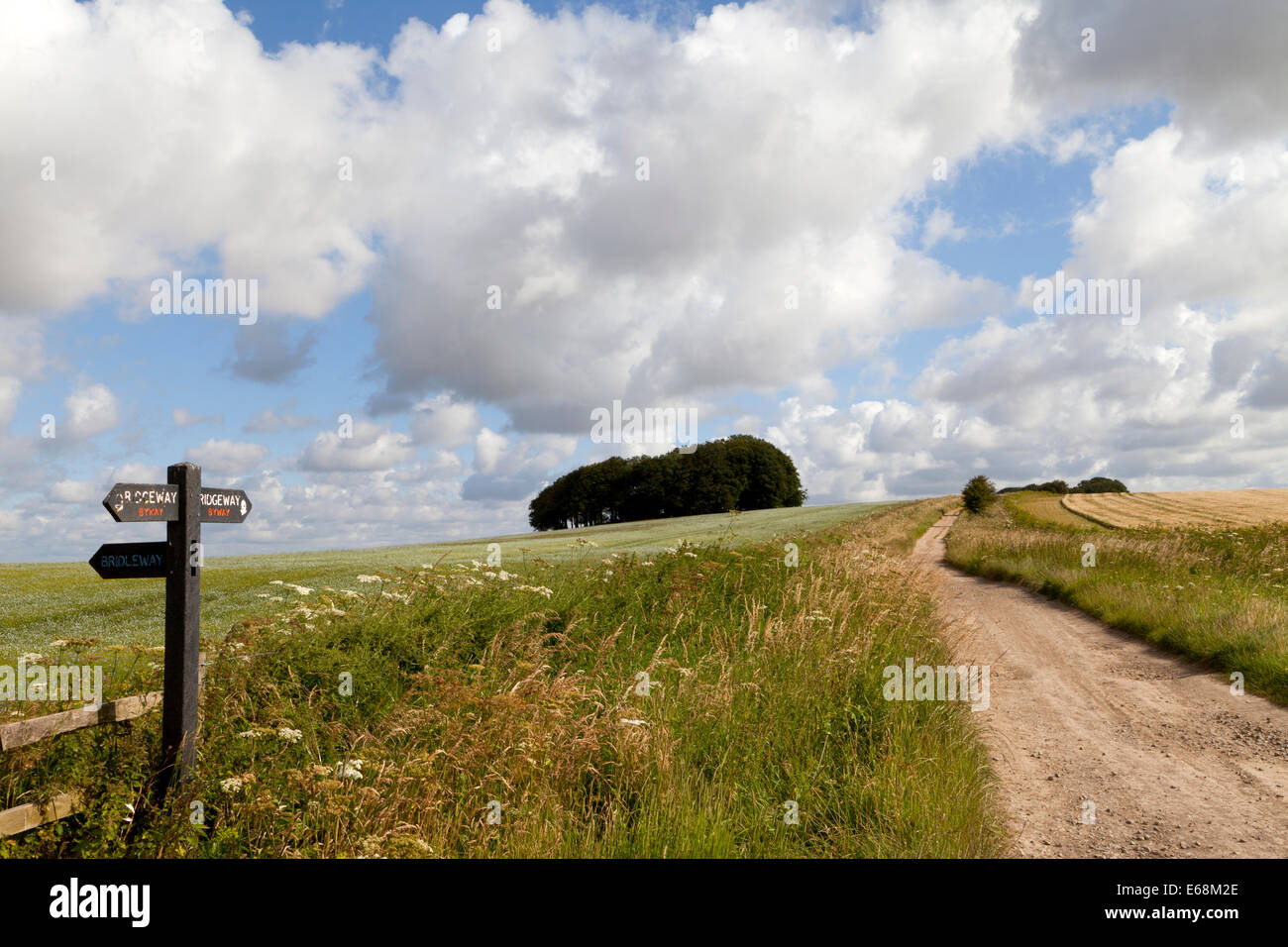 The Ridgeway path at Hackpen Hill, on the Marlborough Downs in Wiltshire, England Stock Photo