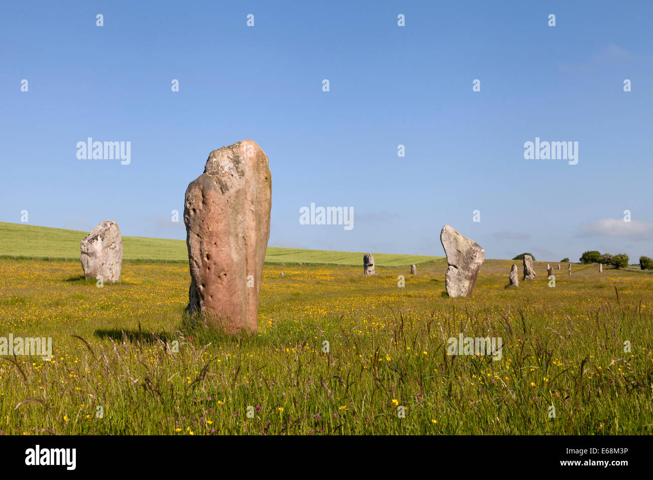 Standing stones forming part of the West Kennet 'avenue' at Avebury in Wiltshire, England. Stock Photo