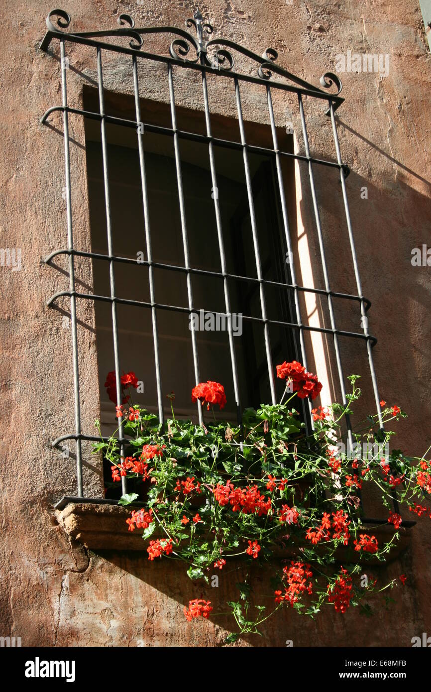Window grille and flower box with geraniums Stock Photo