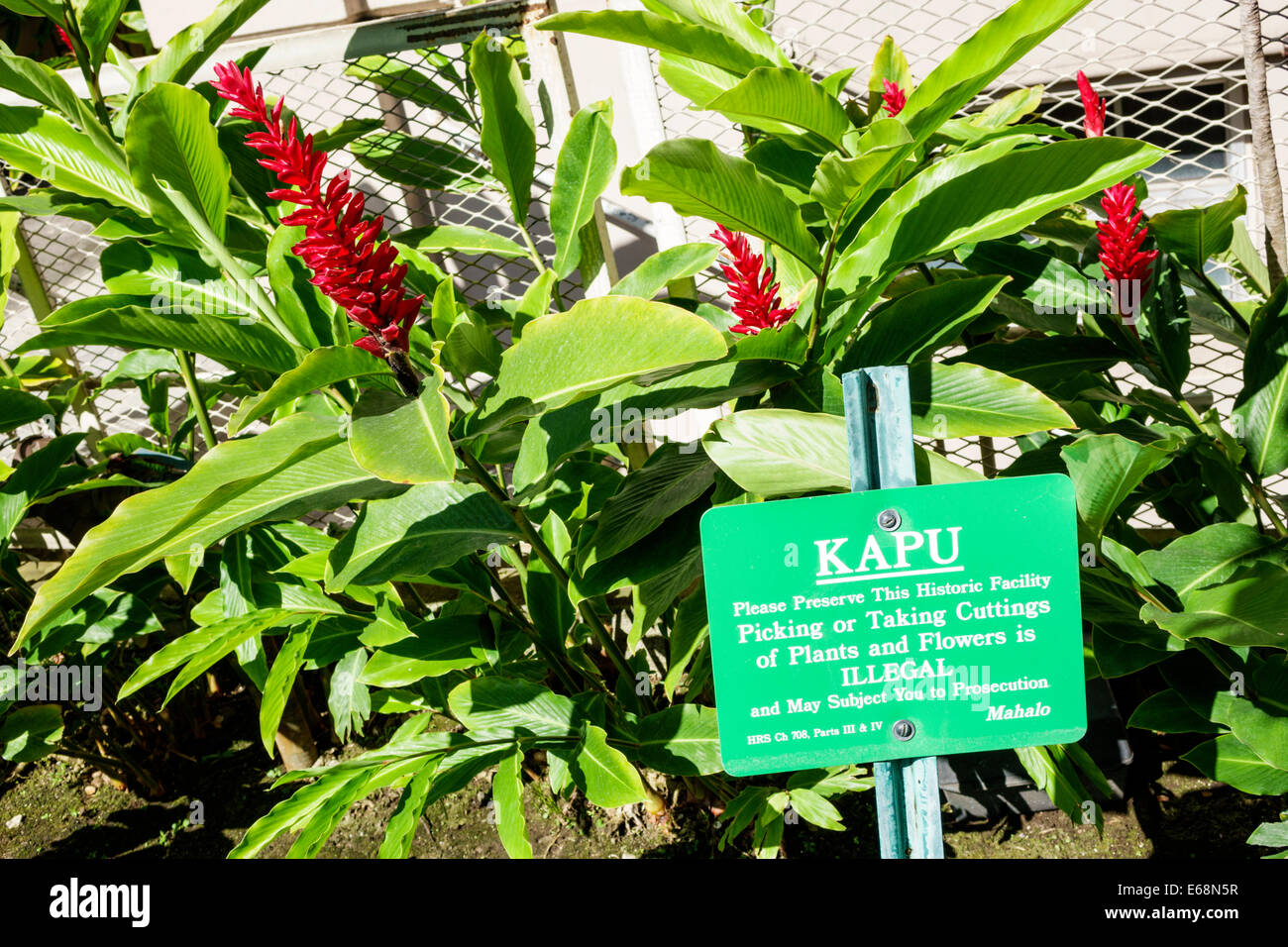 Honolulu Hawaii,Oahu,Hawaiian,kapu,sign,picking cutting plants flowers illegal,warning,USA,US,United,States,America Polynesia,HI140324034 Stock Photo