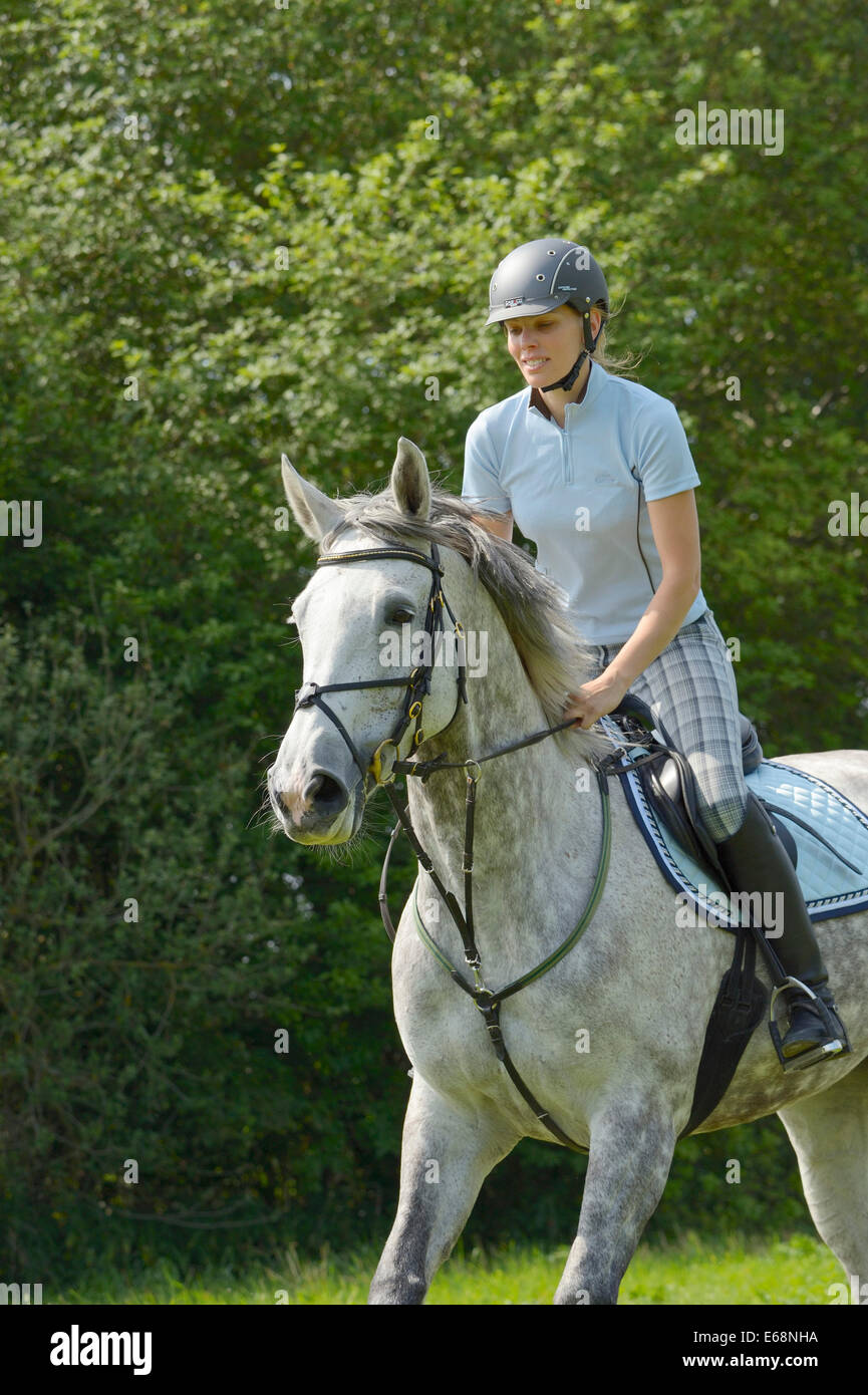 Rider on back of a "Selle Français" horse (French warmblood horse
