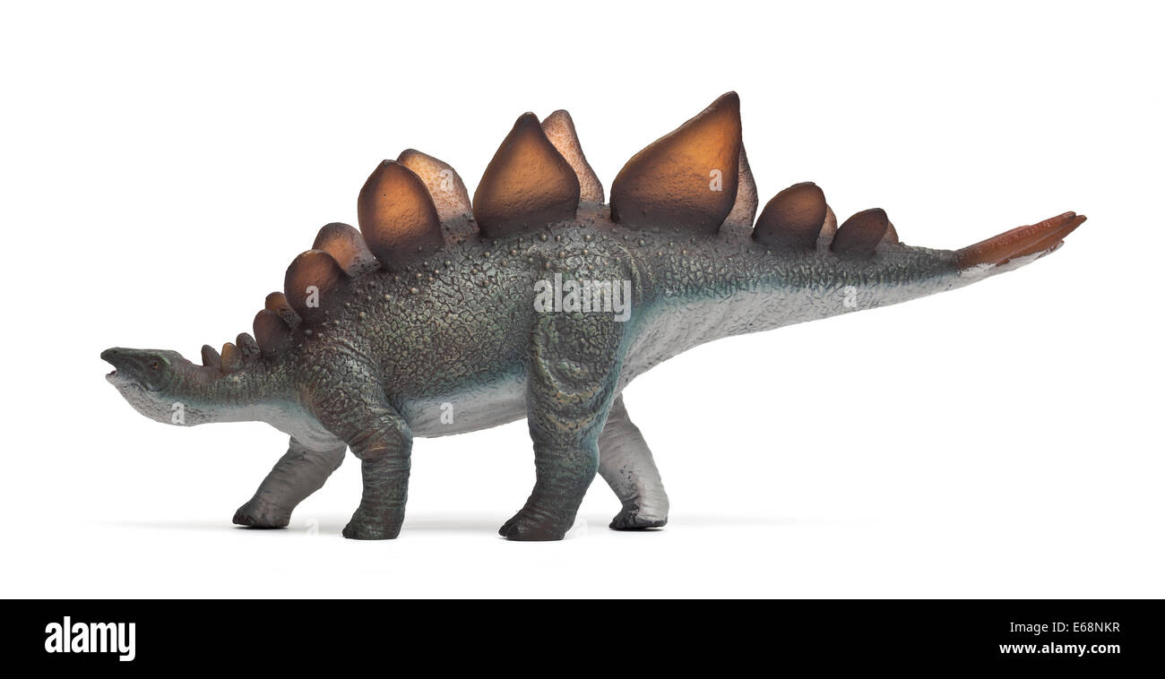 Stegosaurus dinosaur model simulation, white background cutout Stock Photo