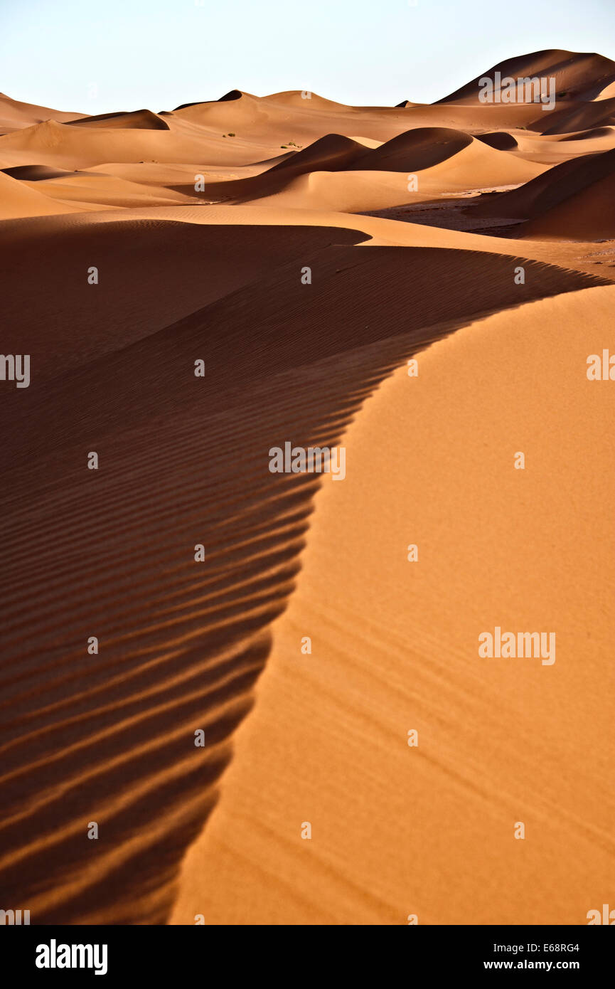 Sand dunes, Sahara Desert; Morocco Stock Photo