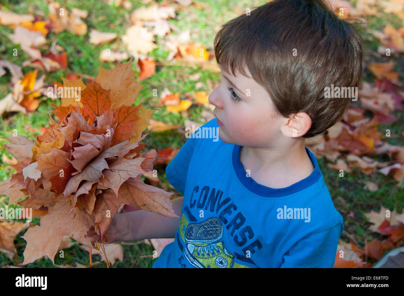 Child playing with leaves hi-res stock photography and images - Alamy
