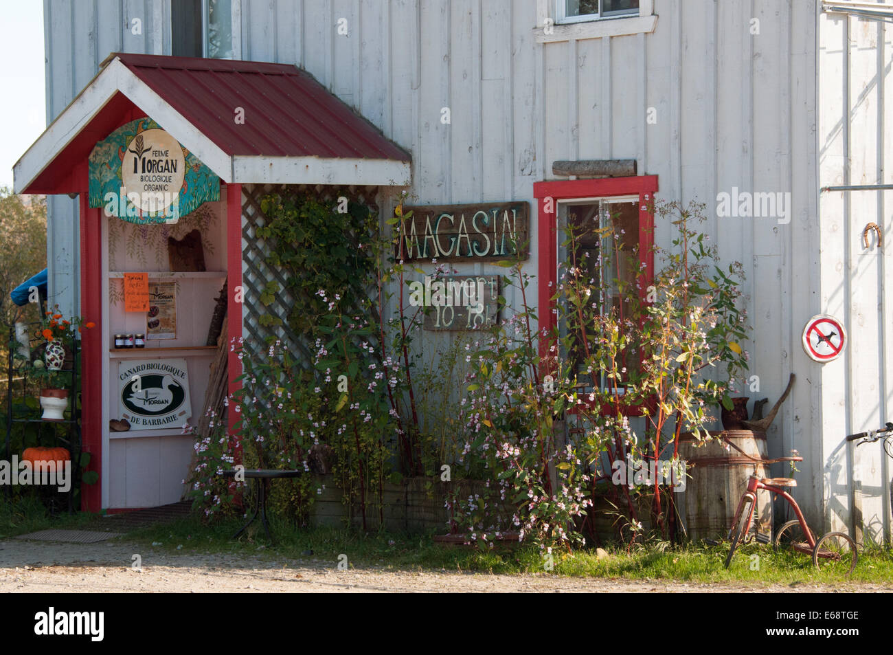 Morgan Farm laurentians , Organic products Stock Photo