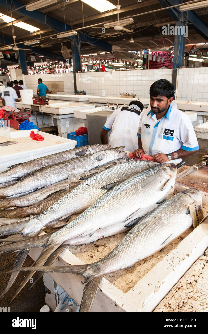 Fisherman with fish tuna in Deira fish market souk, Dubai, United Arab