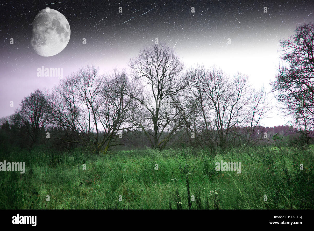 Dawn and fog at night with dusk landscapes hi-res stock photography and ...