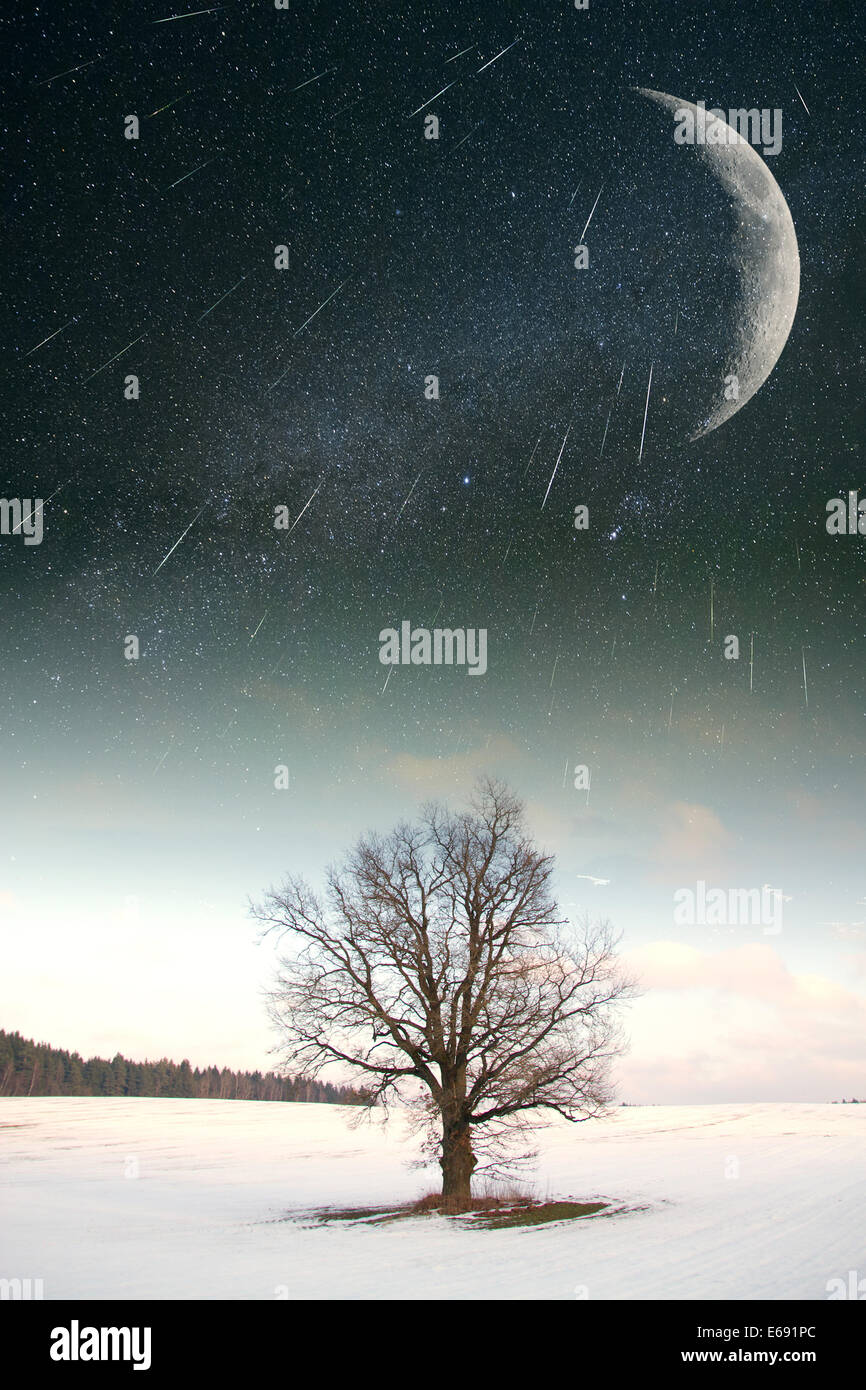 starry sky in winter. Elements of this image furnished by NASA Stock Photo