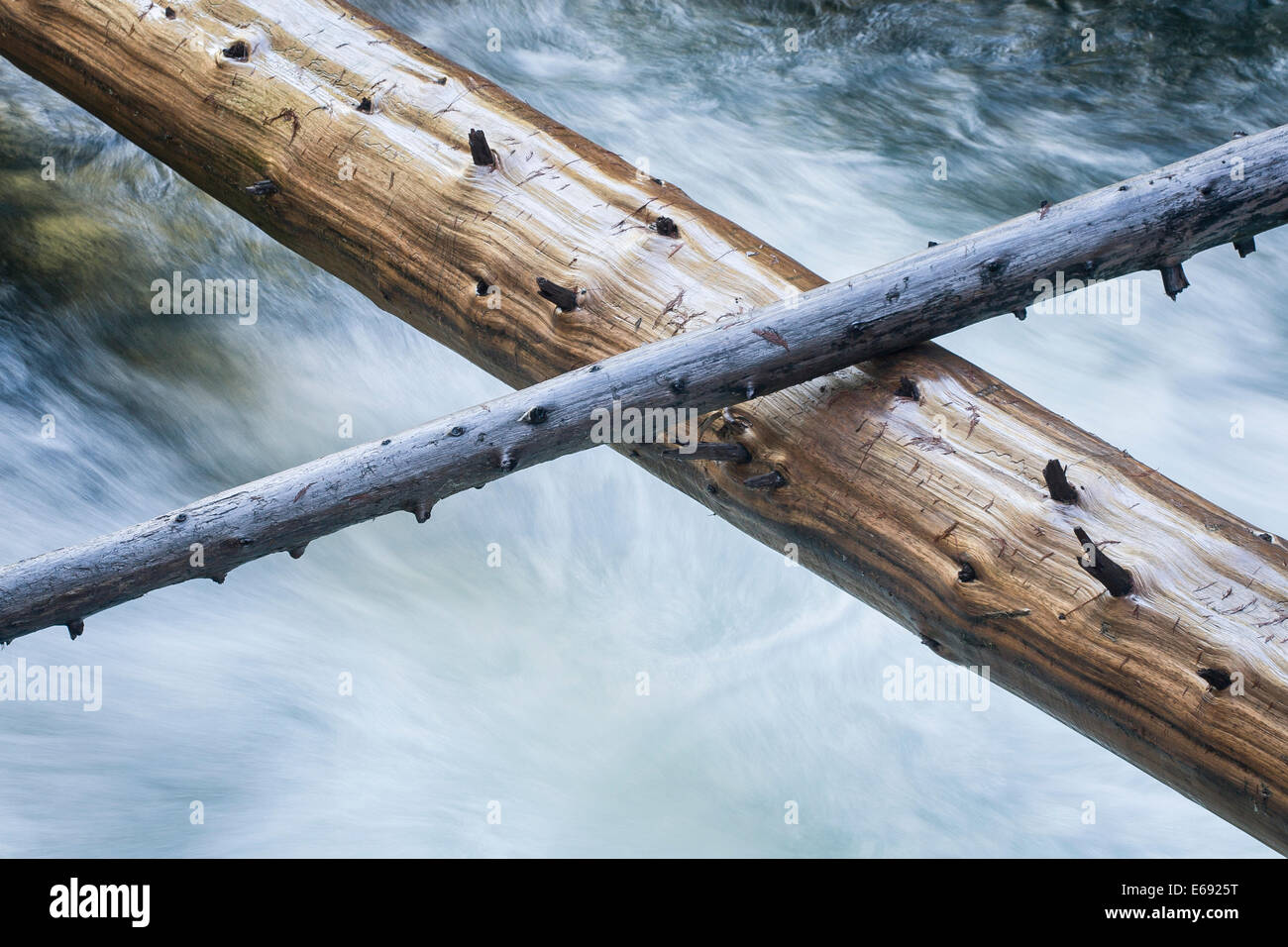 Water-scoured logs in a stream. Oregon, USA. Stock Photo