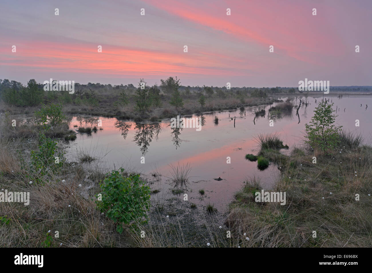 Sunrise in the Hahnenmoor nature reserve, Emsland, Lower Saxony, Germany Stock Photo