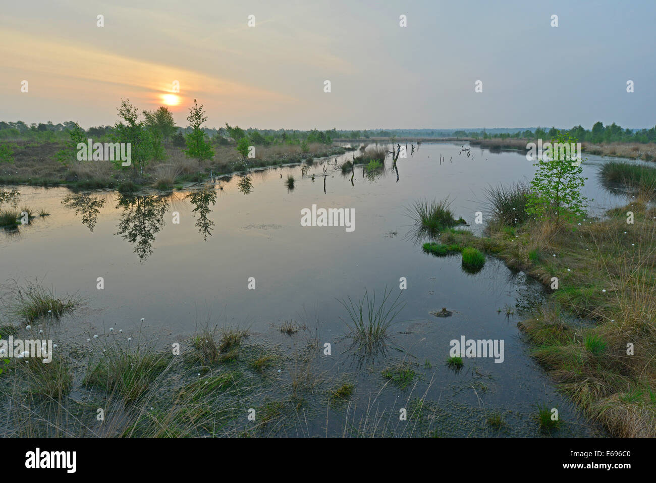 Sunrise in the Hahnenmoor nature reserve, Emsland, Lower Saxony, Germany Stock Photo
