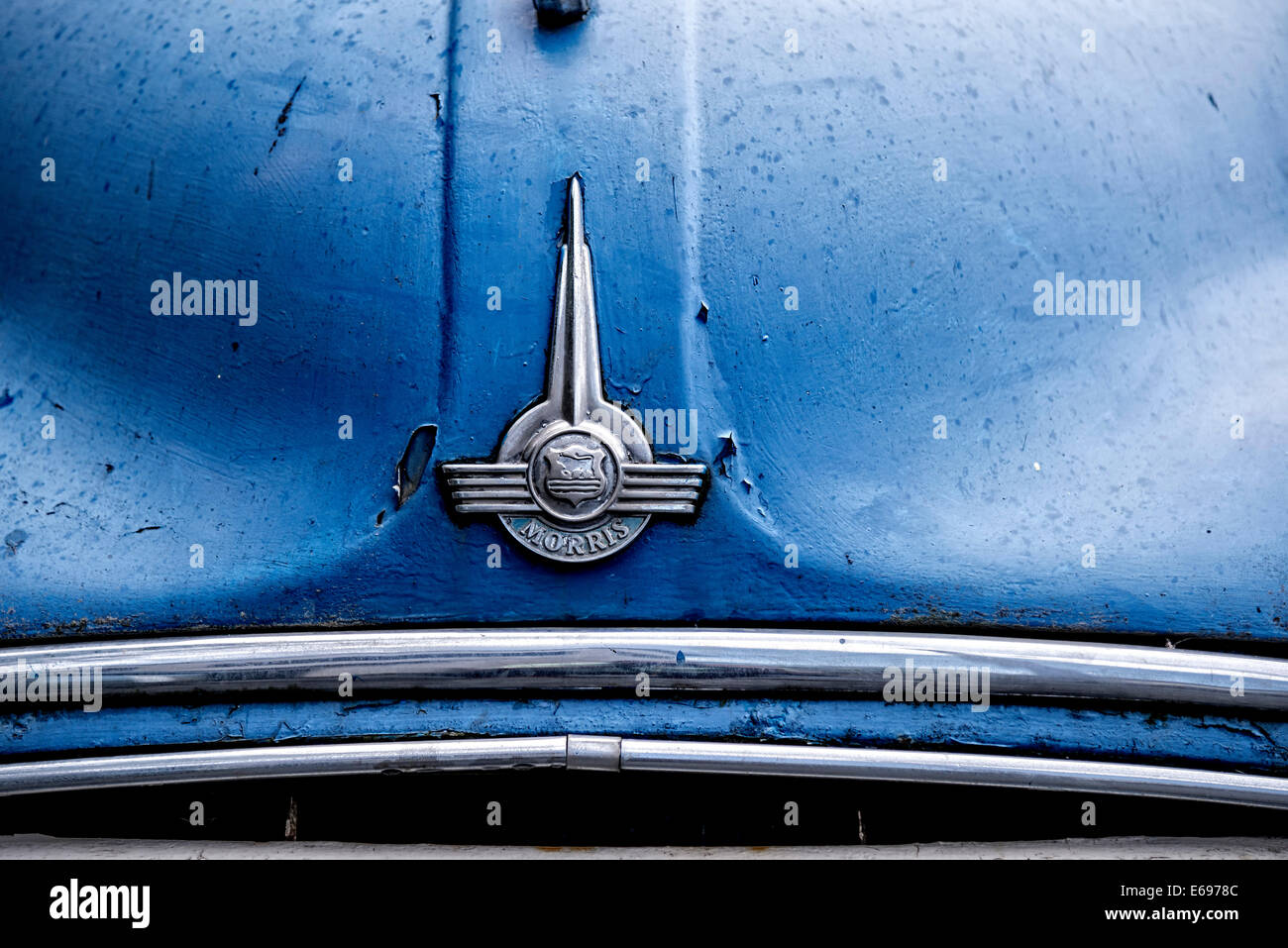 Hood with logo, Morris, vintage car, France Stock Photo