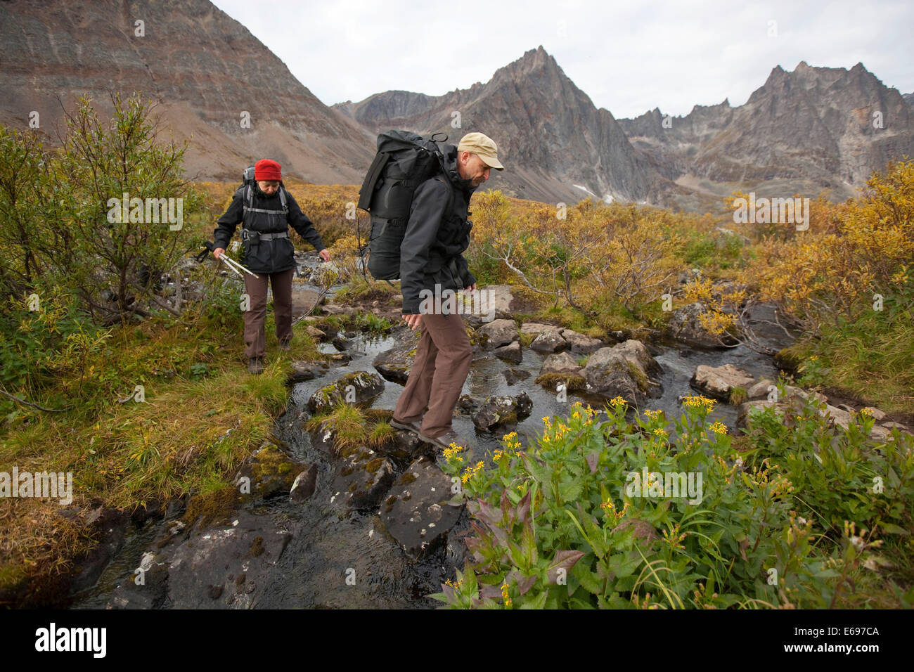 People hiking in arctic or subalpine tundra, crossing a creek, Indian summer, Tombstone Mountains Territorial Park Stock Photo