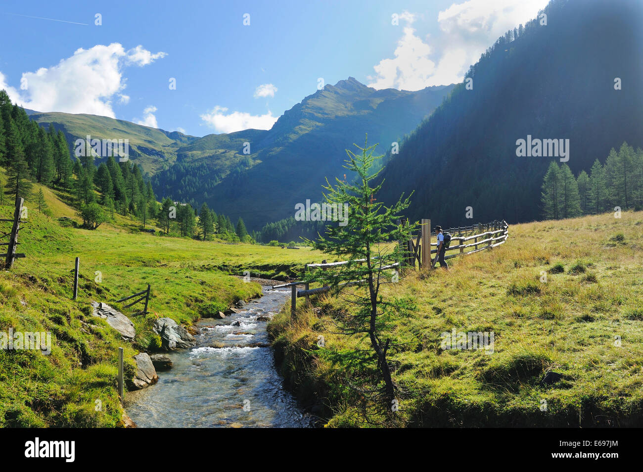 Mountain stream in the Alps, Seebachtal valley, Austria Stock Photo