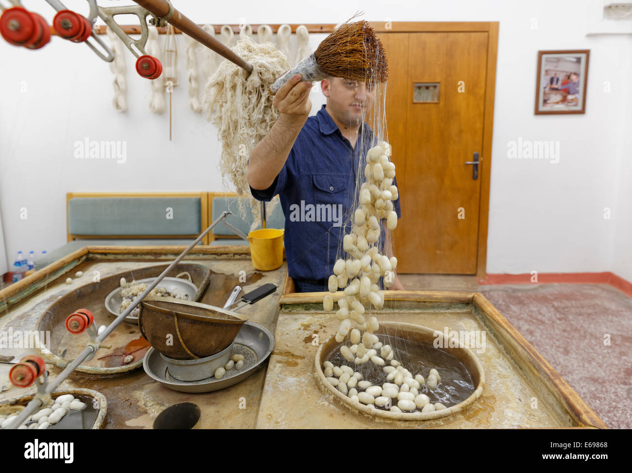 Raw silk and silk cocoons, Sentez carpet weavery, Avanos, Nevşehir Province, Cappadocia, Central Anatolia Region, Anatolia Stock Photo