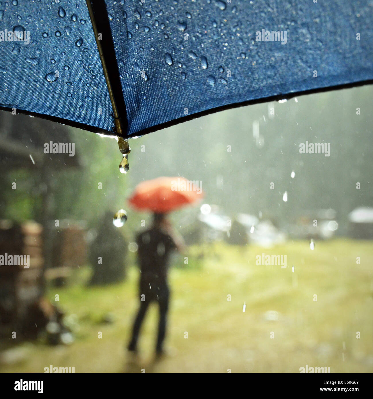 rain,rainy,rain weather Stock Photo