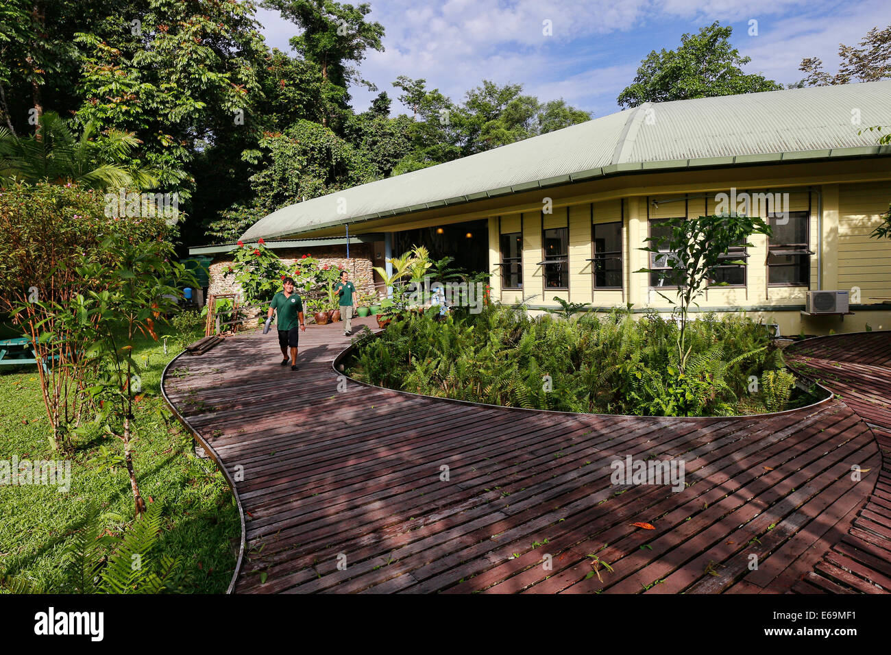Park employees on boardwalk, Cafe and visitor centre, Mulu national park, Malaysia Stock Photo