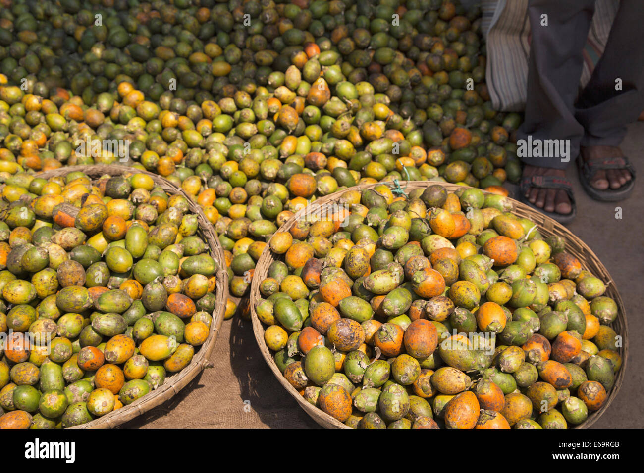 Betel nuts or areca nuts, Assam, India Stock Photo