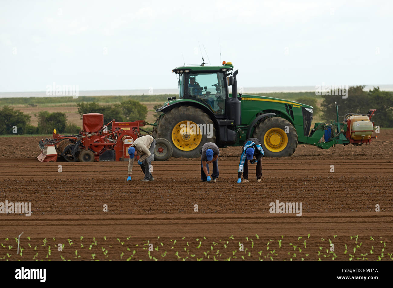 Farm workers europe uk hires stock photography and images Alamy