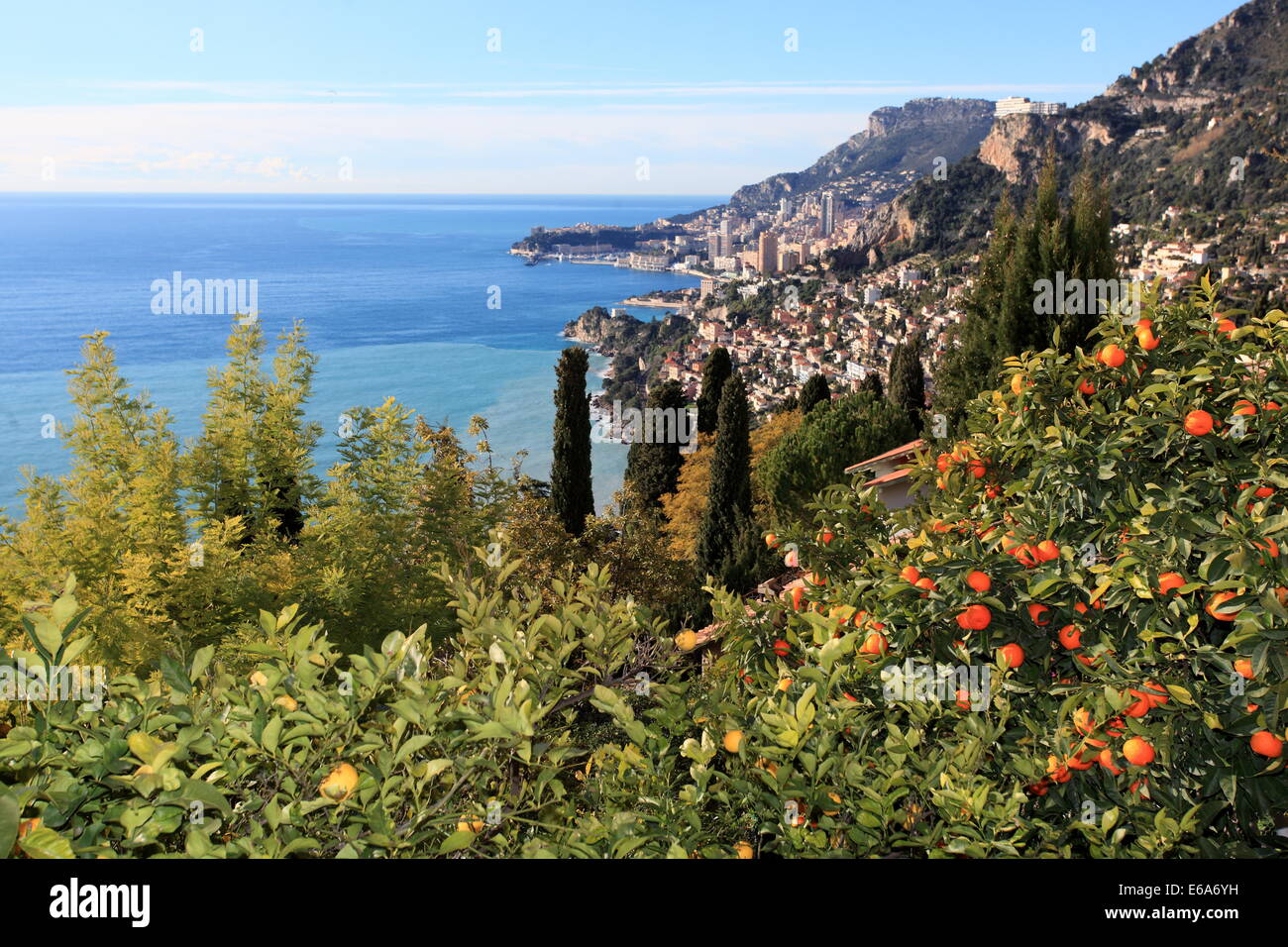 Orange tree and Mediterranean sea from the medieval perched village of Roquebrune. French Riviera. Stock Photo