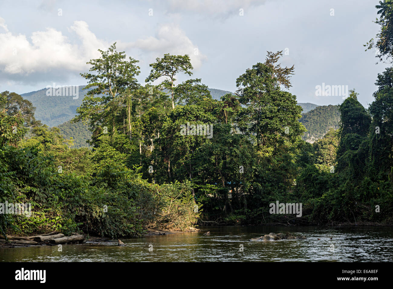River Melinau in the rainforest in Gunung Mulu National Park, Malaysia Stock Photo