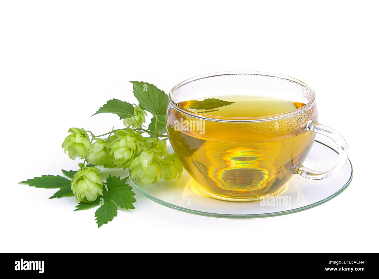 Hop Tea Light Hop tea hi-res stock photography and images - Alamy