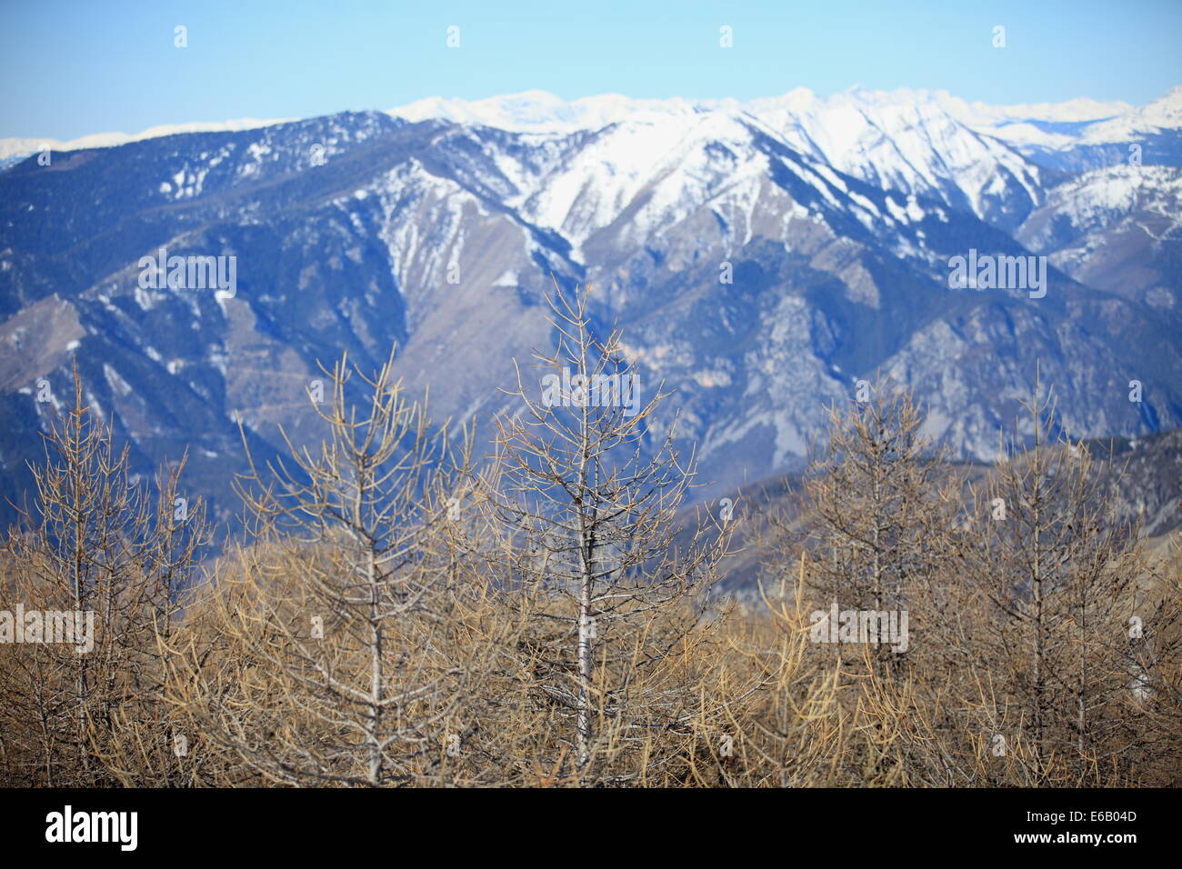 Beautiful winter landscape in southern alps of France. Stock Photo