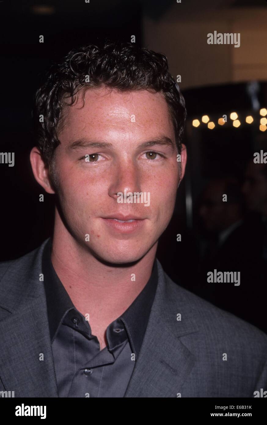 SHAWN HATOSY.An Ideal Husband premiere after party at Pierre Hotel New