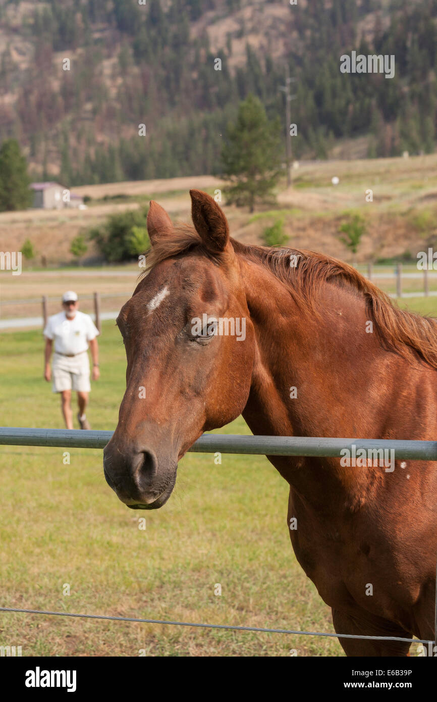 Quarter House in Ranch Paddock, MT,  USA Stock Photo