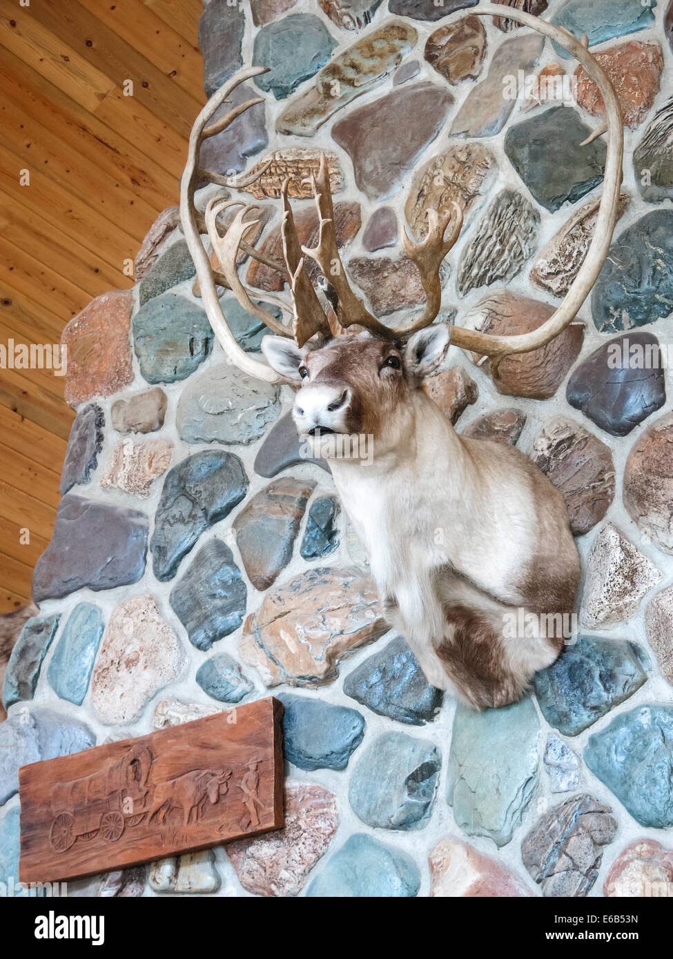 Barren Ground Caribou Mount On Stone Fireplace Stock Photo