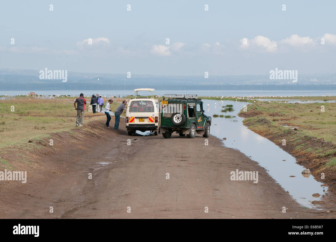 Flooded track on south side of Lake Nakuru with clients disembarking to see flamingos and pelicans Kenya Africa Stock Photo
