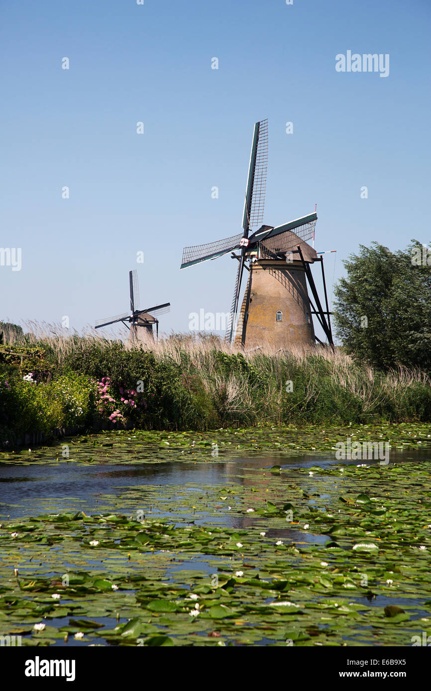 Windmills with sails in mourning position because of MH17 plane crash, Kinderdijk, South-Holland, Netherlands Stock Photo