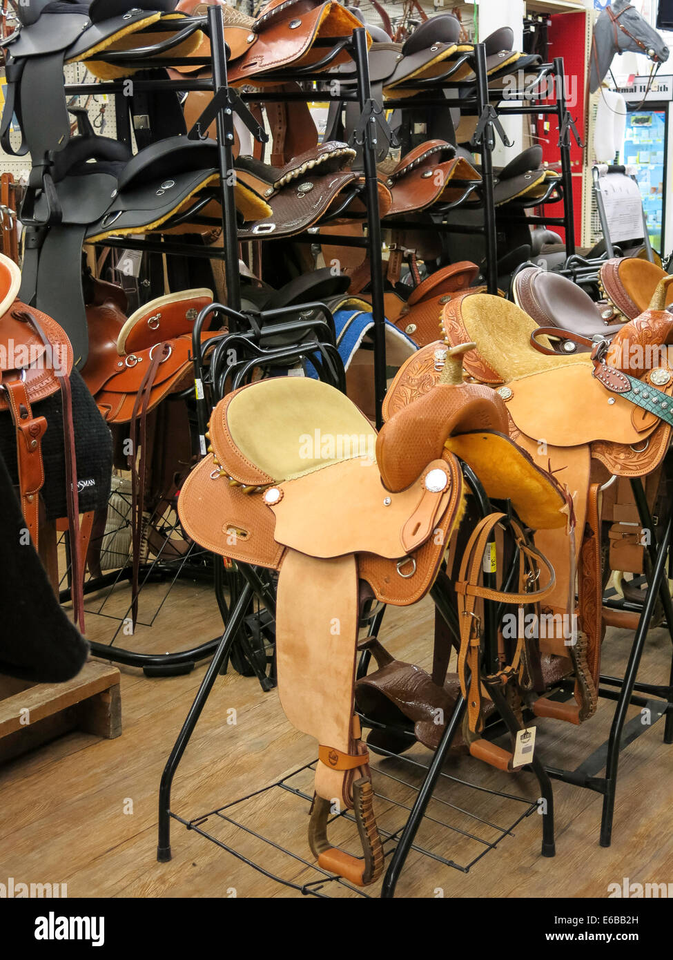 Equestrian Department, Big R Ranch Store, Great Falls, Montana, USA