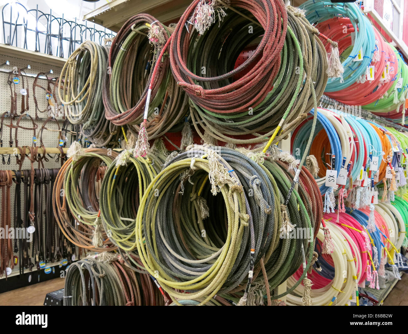 Ranch Ropes - Corral Western Wear