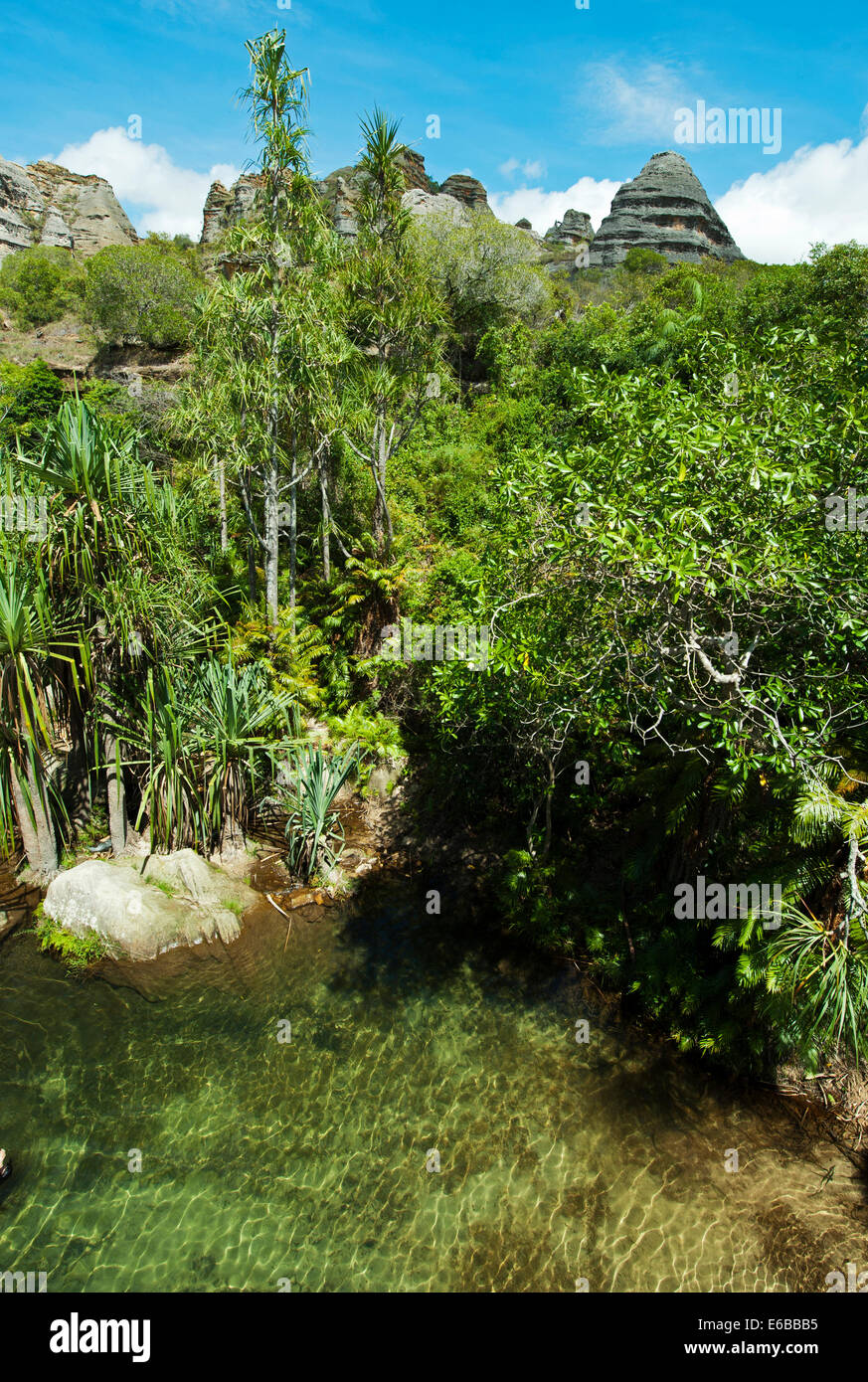 Madagascar, National Park of Isalo, green natural swimming pool in the piscine naturelle circuit. Stock Photo