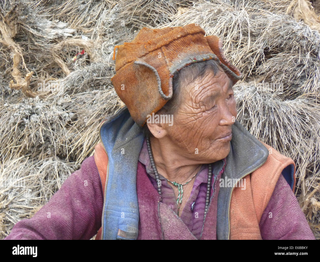 Old woman at Char Village, Zanskar valley, Ladakh, India, Jammu & Kashmir, Himalayas, near Phuktal Gompa Stock Photo