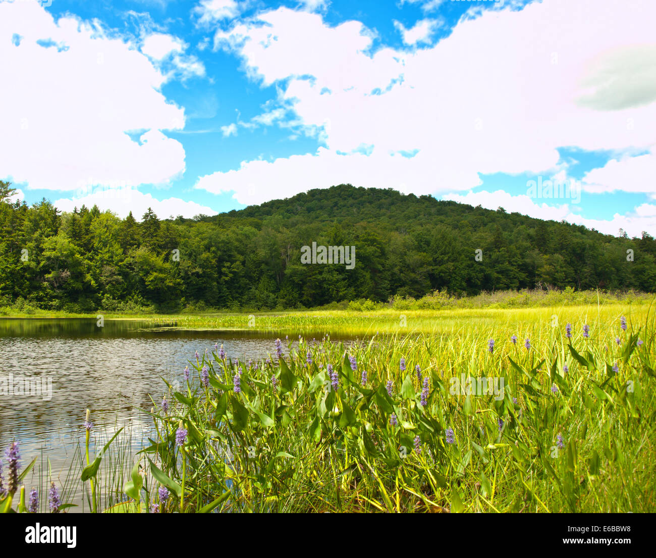 Gilman Lake, Adirondack State Park, New York Stock Photo Alamy