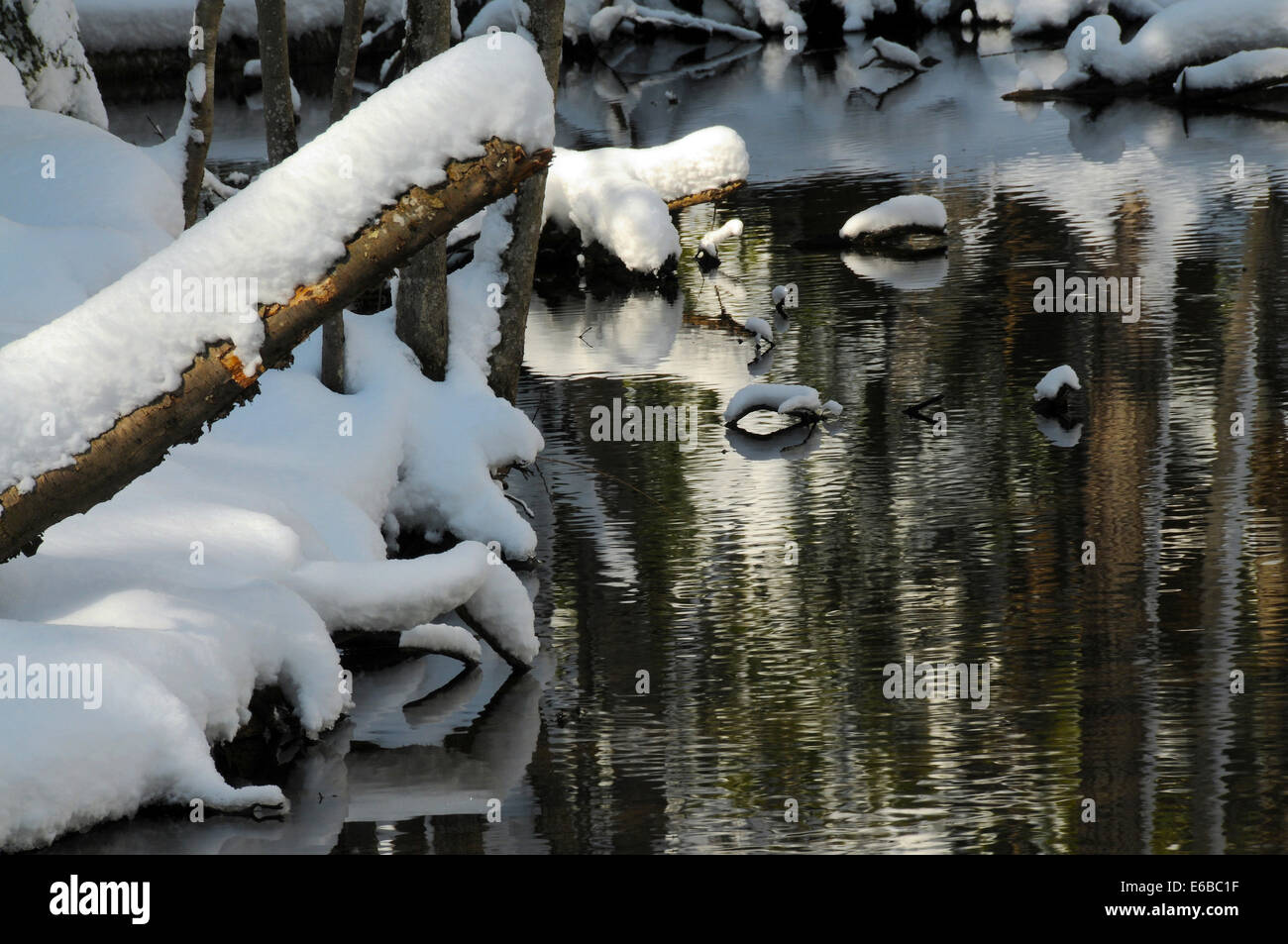 Snowfall reflections in creek, Brunswick, Maine, USA Stock Photo Alamy