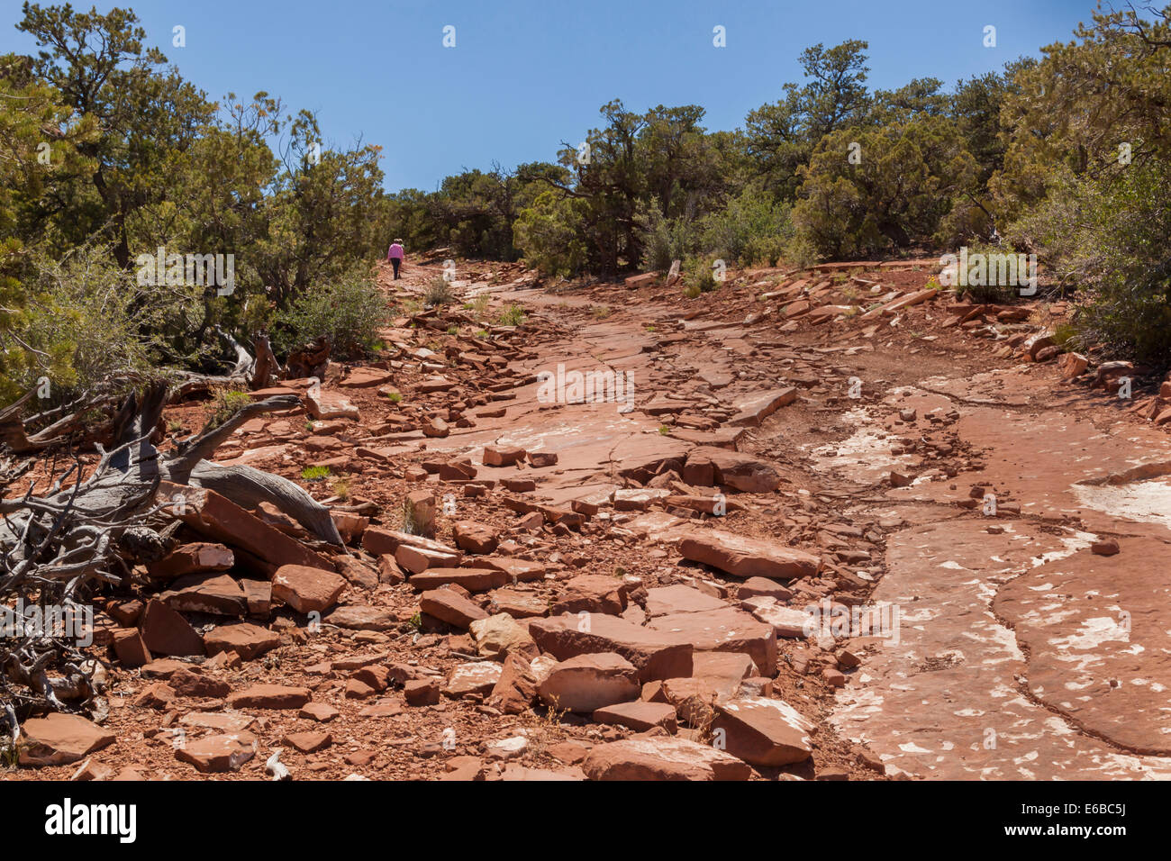 USA, Utah, Torrey, Capitol Reef National Park, South Draw Road, a four