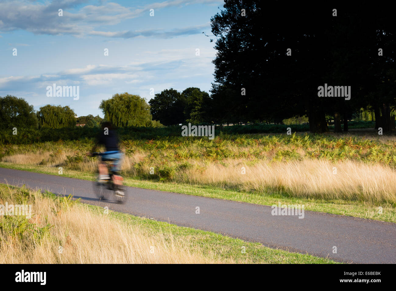 can you cycle in bushy park